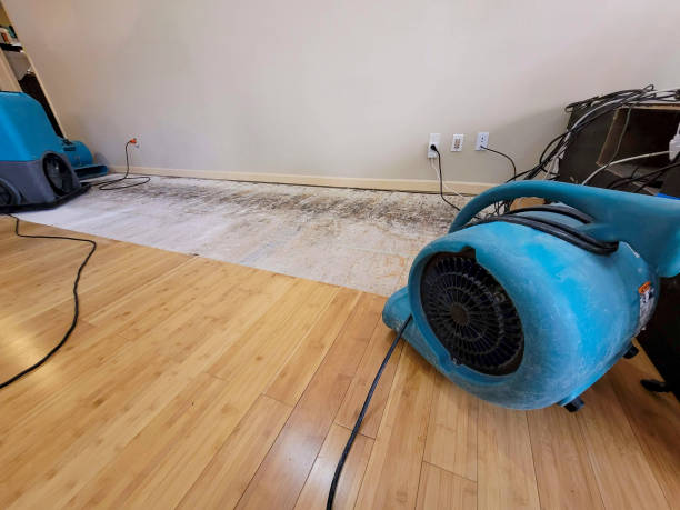 Professional Structural Drying technician working in Gateway, FL